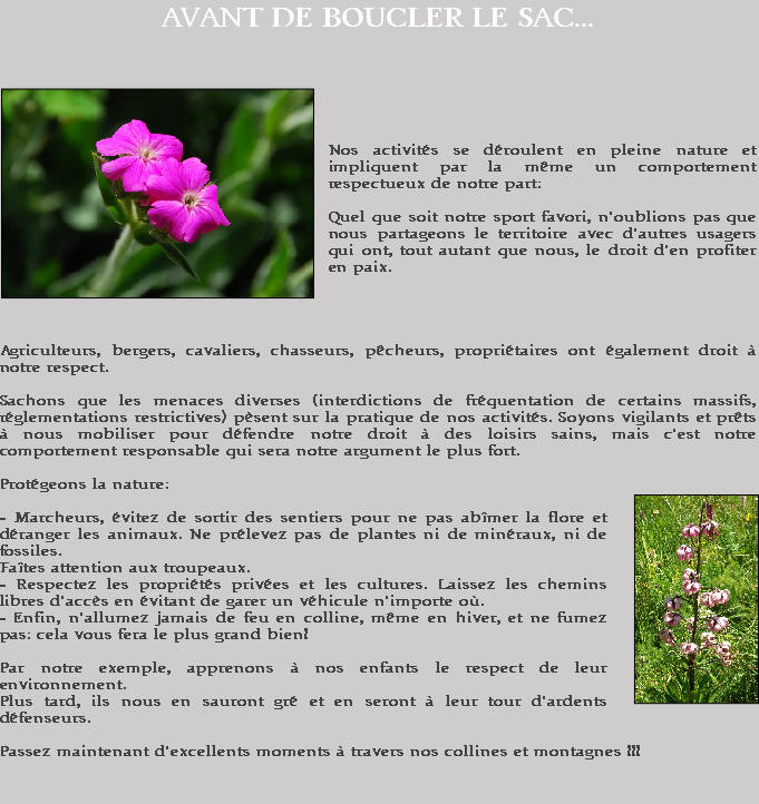 oeillet de poète