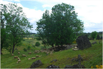 wp2c026049.jpg