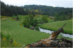 wpe7785212.jpg