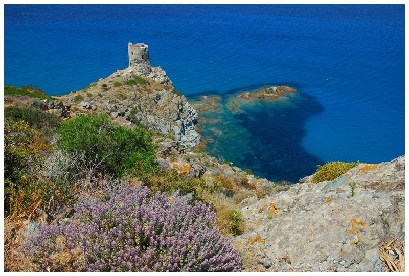 Corse