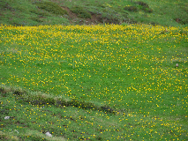 wp1a50164a.png